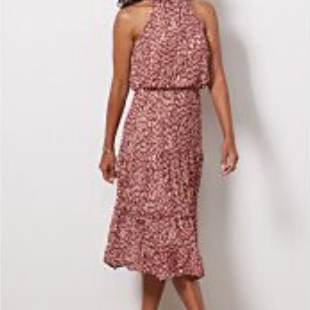 Evereve Pink and White Floral Midi Dress